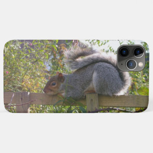 grijze eekhoorn rust op originele foto van wilde d iPhone 11 pro max hoesje