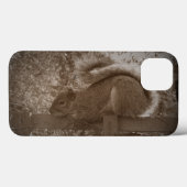 grijze eekhoorn rust sepia tuindieren foto Case-Mate iPhone case (Achterkant (horizontaal))