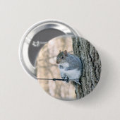 Grijze eekhoorn - Sciurus carolinensis Ronde Button 5,7 Cm (Voorkant /achterkant)