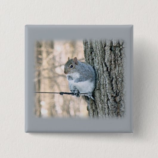 Grijze eekhoorn - Sciurus carolinensis Vierkante Button 5,1 Cm (Voorkant)