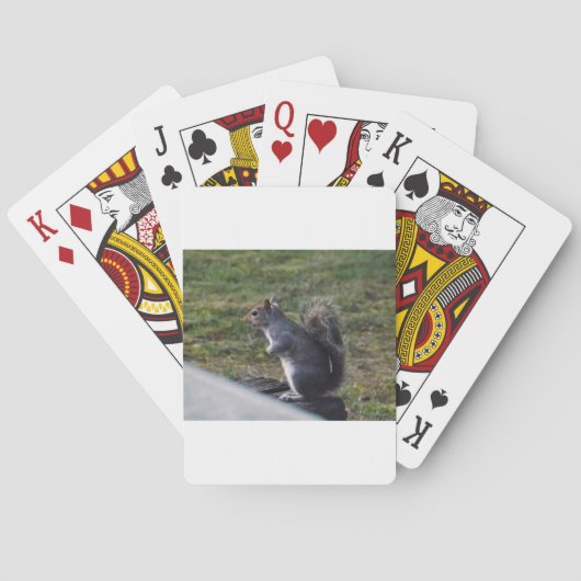 Grijze eekhoorn speelkaarten (Achterkant)