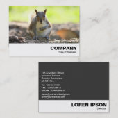 Grijze eekhoorn visitekaartje (Voorkant / Achterkant)