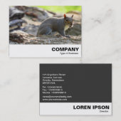 Grijze eekhoorn visitekaartje (Voorkant / Achterkant)