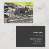 Grijze eekhoorn visitekaartje (Voorkant / Achterkant)