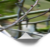 Grijze eekhoorn zit in een boom perfect poster (Hoek)