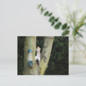 Grijze eekhoornkaart briefkaart (Staand voorkant)