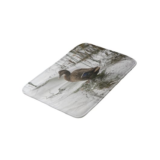 Grijze eend op donker het meer badmat (Gekanteld)