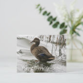 Grijze eend op donker het meer briefkaart (Staand voorkant)