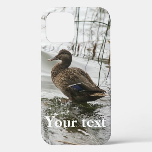 Grijze eend op donker het meer Case-Mate iPhone case (Achterkant)
