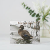 Grijze eend op donker het meer feestdagenkaart (Staand voorkant)