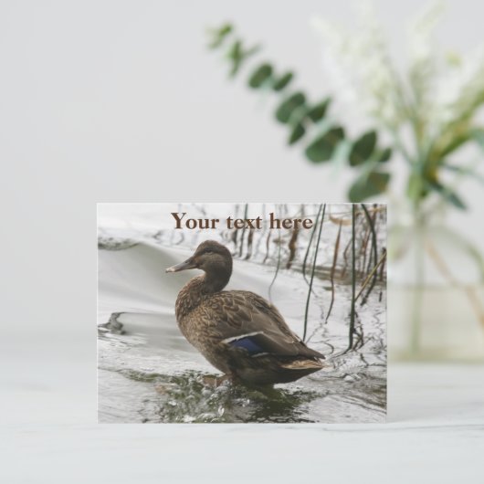 Grijze eend op donker het meer feestdagenkaart (Staand voorkant)