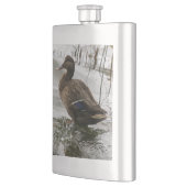 Grijze eend op donker het meer flacon (Links)