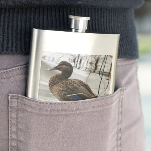 Grijze eend op donker het meer flacon (Voorbeeld)