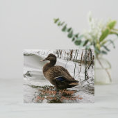 Grijze eend op donker het meer folie feestdagen briefkaart (Staand Voorkant)