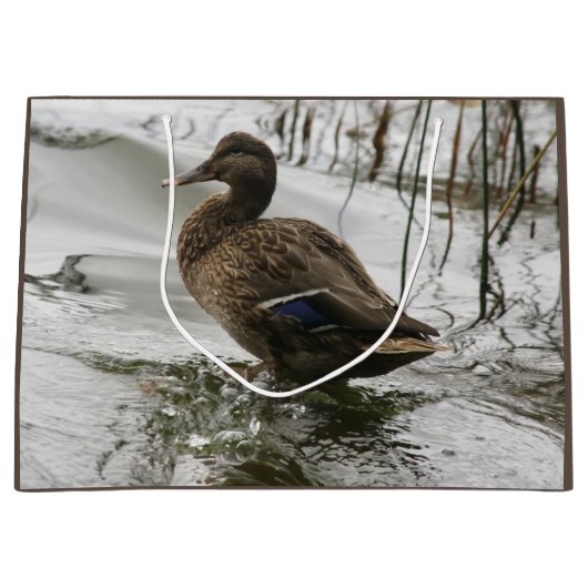 Grijze eend op donker het meer groot cadeauzakje (Voorkant)