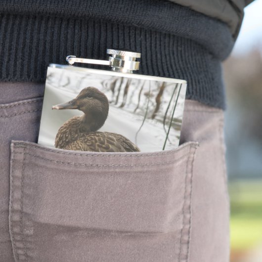 Grijze eend op donker het meer heupfles (Voorbeeld)