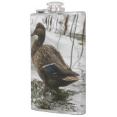 Grijze eend op donker het meer heupfles (Links)