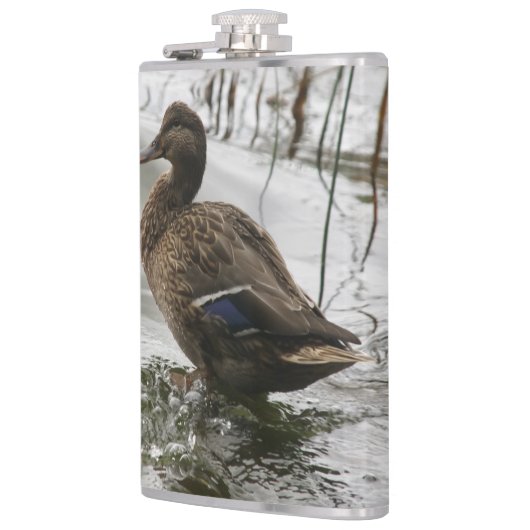 Grijze eend op donker het meer heupfles (Links)