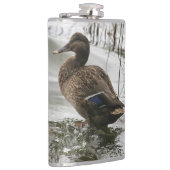 Grijze eend op donker het meer heupfles (Rechts)