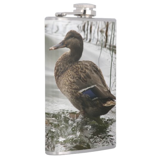 Grijze eend op donker het meer heupfles (Rechts)