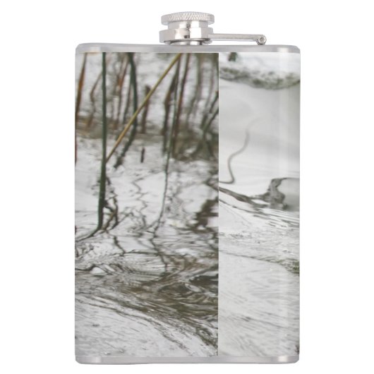 Grijze eend op donker het meer heupfles (Achterkant)