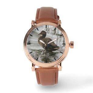 Grijze eend op donker het meer horloge