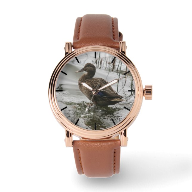 Grijze eend op donker het meer horloge (Voorkant)