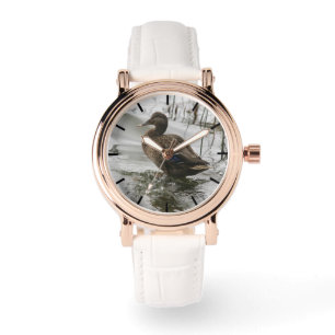 Grijze eend op donker het meer horloge
