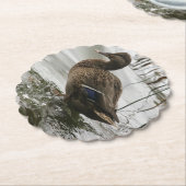 Grijze eend op donker het meer kartonnen onderzetters (Gekanteld)