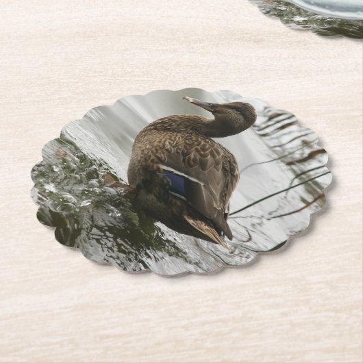 Grijze eend op donker het meer kartonnen onderzetters (Gekanteld)