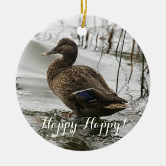 Grijze eend op donker het meer keramisch ornament (Voorkant)