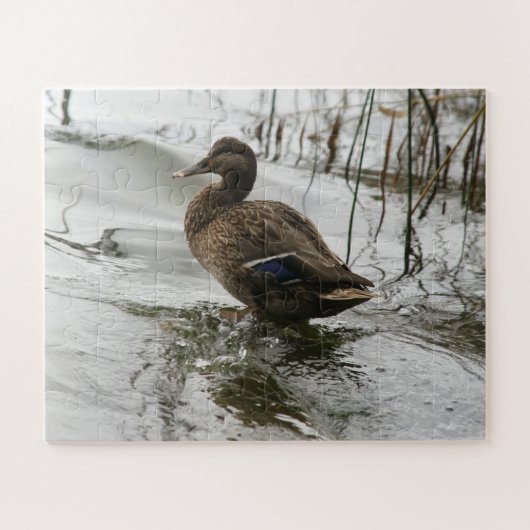 Grijze eend op donker het meer legpuzzel (Horizontaal)