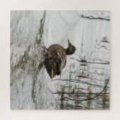 Grijze eend op donker het meer legpuzzel (Horizontaal)