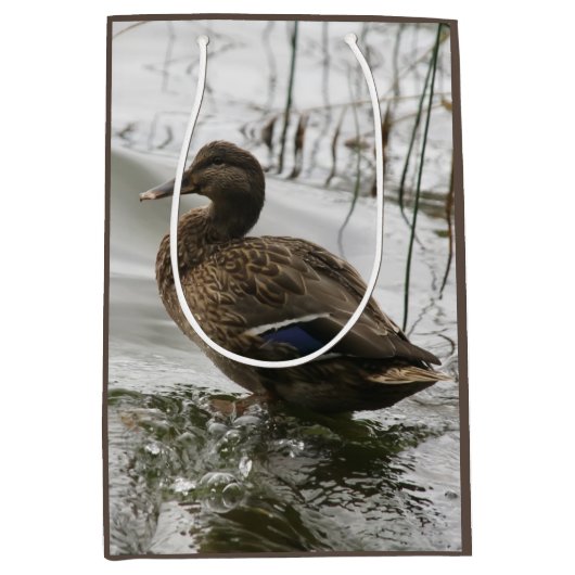 Grijze eend op donker het meer medium cadeauzakje (Voorkant)