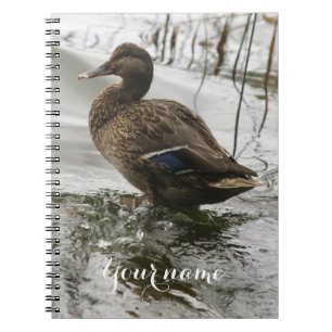 Grijze eend op donker het meer notitieboek