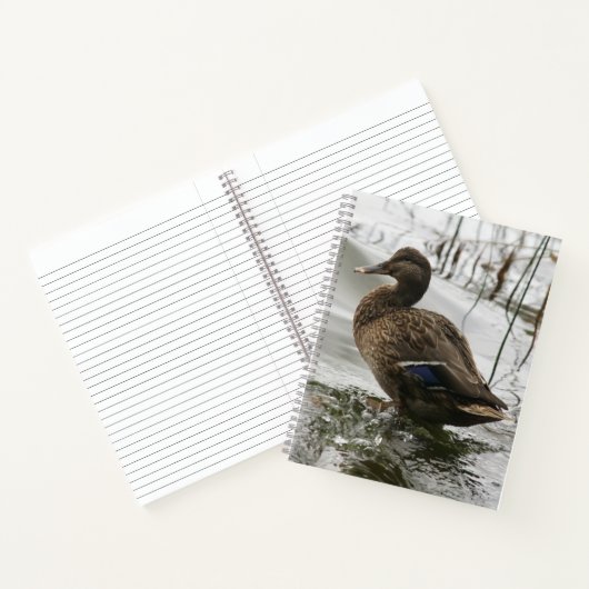 Grijze eend op donker het meer notitieboek (Binnen)