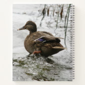 Grijze eend op donker het meer notitieboek (Achterkant)