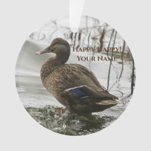 Grijze eend op donker het meer ornament