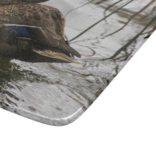 Grijze eend op donker het meer snijplank (Hoek)