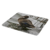 Grijze eend op donker het meer snijplank (Hoek)