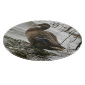 Grijze eend op donker het meer snijplank (Hoek)