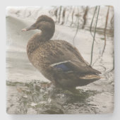 Grijze eend op donker het meer stenen onderzetter (Voorkant)