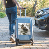 Grijze eend op donker het meer sticker (Koffer Insitu)