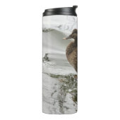 Grijze eend op donker het meer thermosbeker (Gedraaid links)