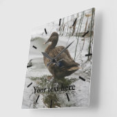 Grijze eend op donker het meer vierkante klok (Hoek)