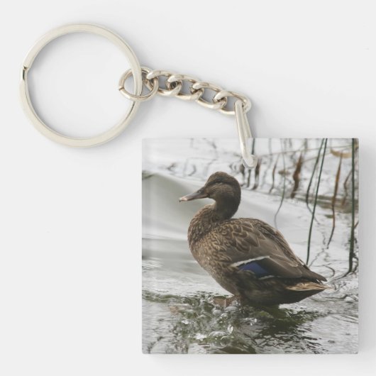 Grijze eend op donker meer sleutelhanger (voorkant)