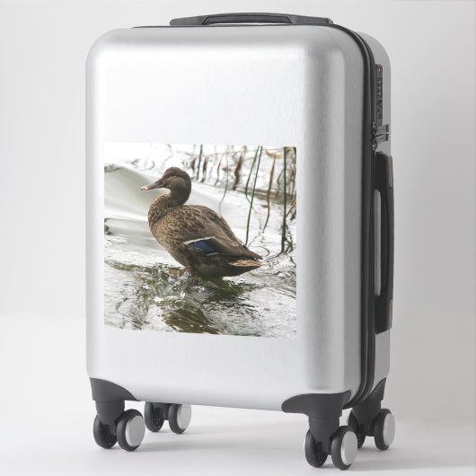 Grijze eend op donkere het meer sticker (Koffer)