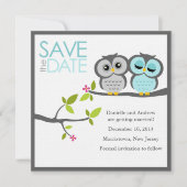 Grijze en Aqua Owls Wedding Save the Date (Voorkant)