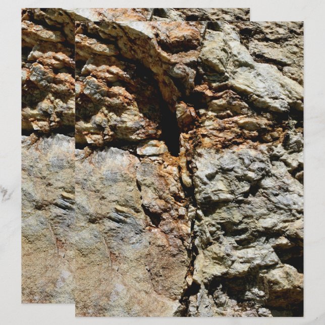 Grijze en bruine Natuur (Voorkant / Achterkant)