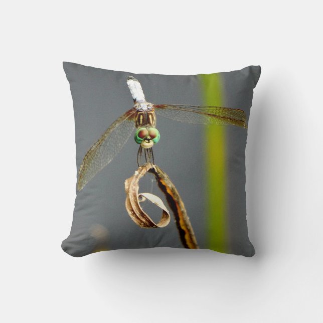 Grijze en gele kalkgroene Pillow blauwgroen dragon Kussen (Voorkant)